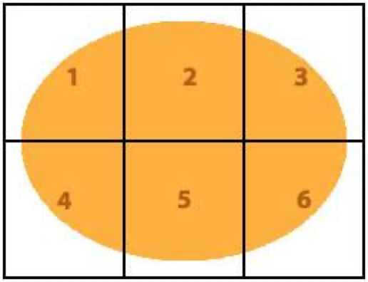 A diagram of an orange oval with a six-part grid overlaid on the oval. Each grid square is numbered.